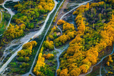 High angle view of road amidst trees in forest