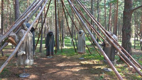 Rear view of people standing in forest