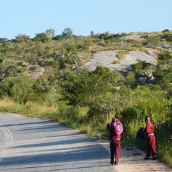 Rear view of people walking on road against trees