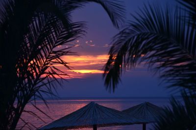 Silhouette palm trees against sky during sunset