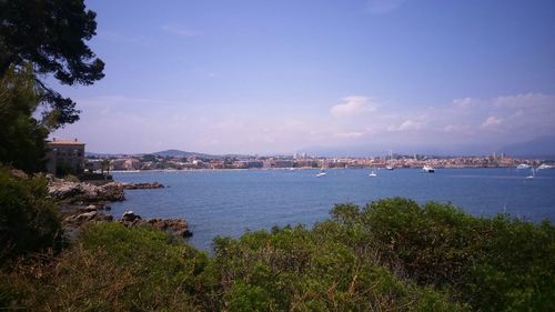 View of river with buildings in background