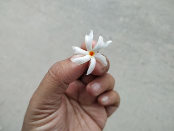 Cropped hand of holding flower