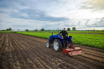 Farmer on tractor cultivates farm field. milling soil, crumbling ground before cutting rows