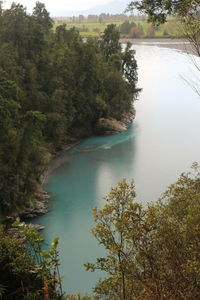 High angle view of lake amidst trees in forest