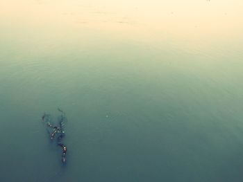 High angle view of men swimming in sea