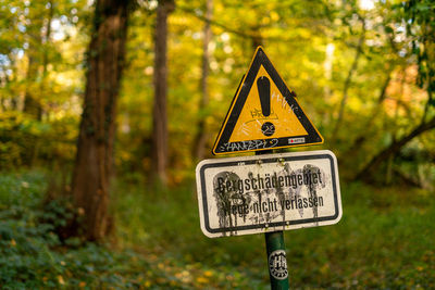 Information sign on road amidst trees in forest