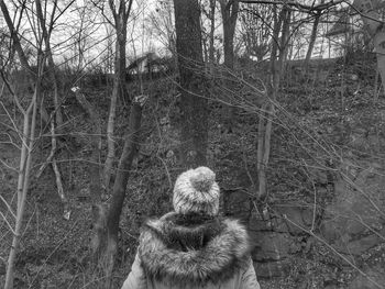 Bare trees against sky