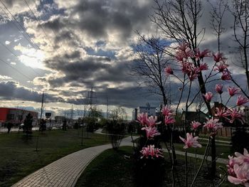 Footpath in park against cloudy sky