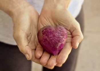 Midsection of person holding heart shape radish