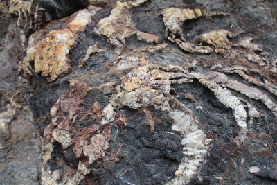 Full frame shot of rock