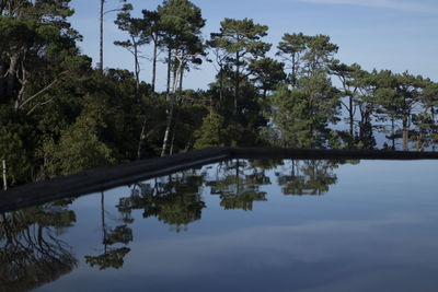 Scenic view of lake in forest against sky