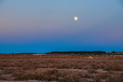 Scenic view of field against sky at night