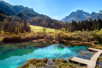 Scenic view of lake