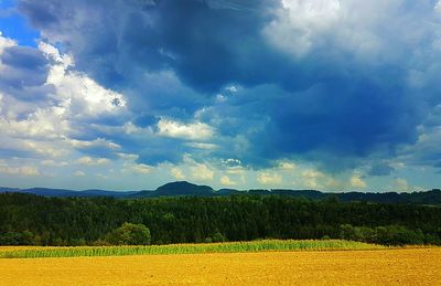 Scenic view of field against sky