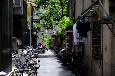 Cars parked on road