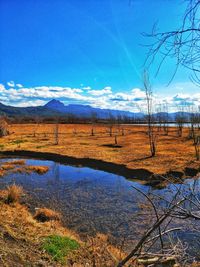 Scenic view of lake against blue sky