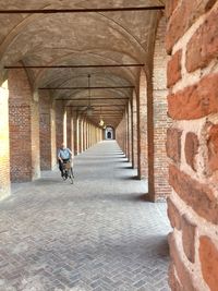 Rear view of man walking in corridor of building