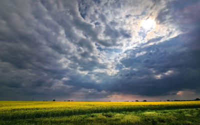 Scenic view of agricultural field against cloudy sky