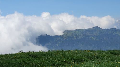 Panoramic view of landscape against sky