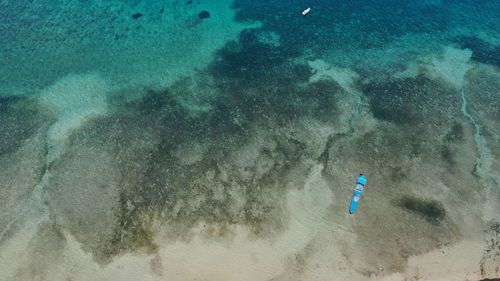 High angle view of person swimming in sea