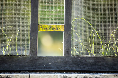 Close-up of yellow sign on metal fence