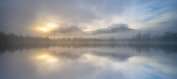 reflection