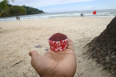 Close-up of hand holding cupcake at beach against sky
