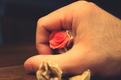 Close-up of hand holding flower