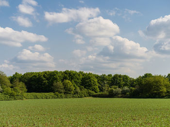 Scenic view of field against sky