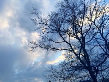 Low angle view of bare trees against cloudy sky