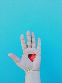 Close-up of cropped hands