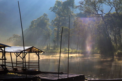 Scenic view of lake by trees in forest