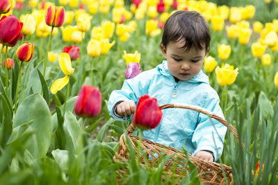 Full length of cute girl standing on yellow flowering plants