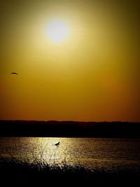 Silhouette of bird flying over lake during sunset