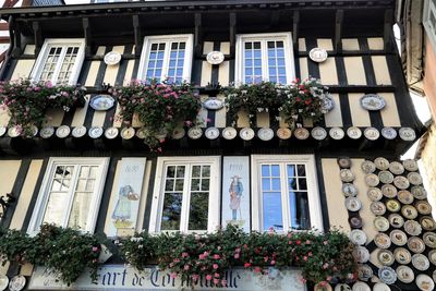 Low angle view of potted plants against building