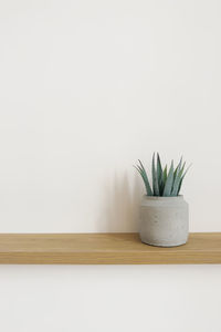 Artificial aloe flower in a gray pot on a wooden table in the decor of apartments