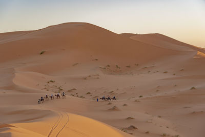 Scenic view of sand dunes in desert against sky