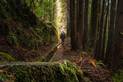 Man walking along a narrow path surrounded by trees in forest