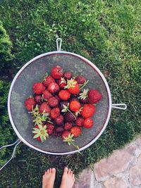 High angle view of strawberries