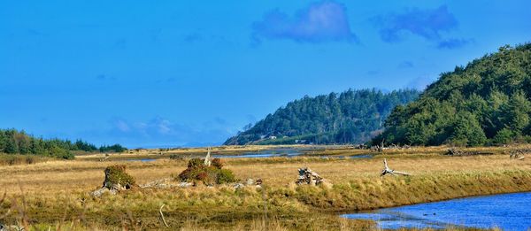 Scenic view of landscape against blue sky