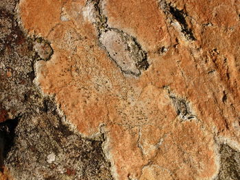 Full frame shot of stone wall