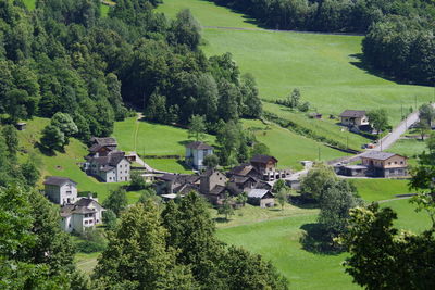 High angle view of trees and houses on field