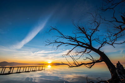 Silhouette bare tree by sea against sky during sunset