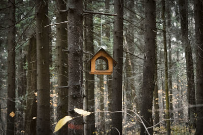 Close-up of birdhouse on tree trunk in forest