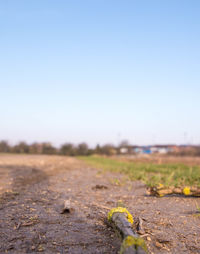 Surface level of road against clear sky