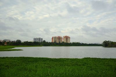 Trees on grassy field against cloudy sky