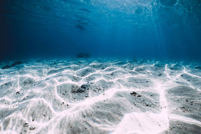 High angle view of beach