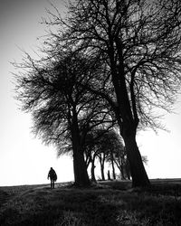 Rear view of man walking on field against sky