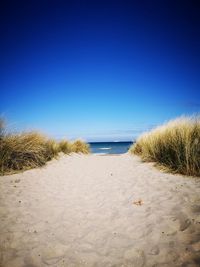 Scenic view of beach against clear blue sky