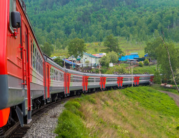 Train on railroad track amidst trees